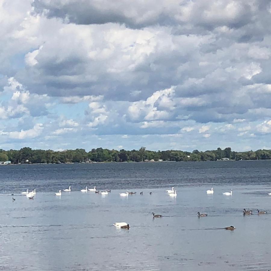 Entire Waterfront In Carrying Place