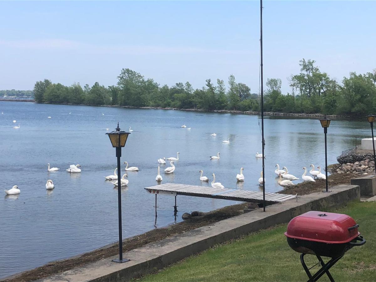Entire Waterfront In Carrying Place